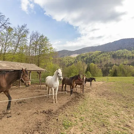 Hébergement de vacances Homes Sara *