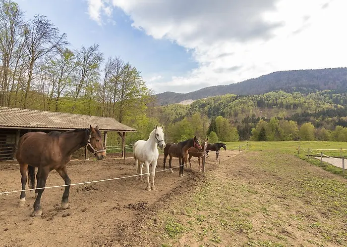 Vakantiehuis Homes Sara *